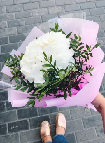 Гортензия в упаковке «Одно мгновение» от интернет-магазина цветов в 