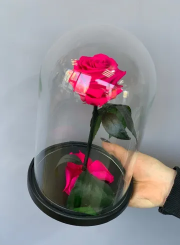 Роза в колбе цвет фуксия от интернет-магазина цветов в 
