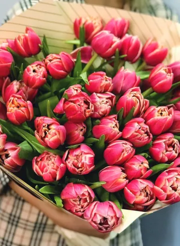 51 розовый тюльпан от интернет-магазина цветов в 