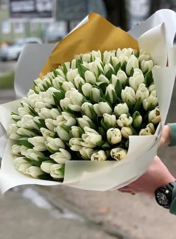101 белый тюльпан от интернет-магазина цветов в 